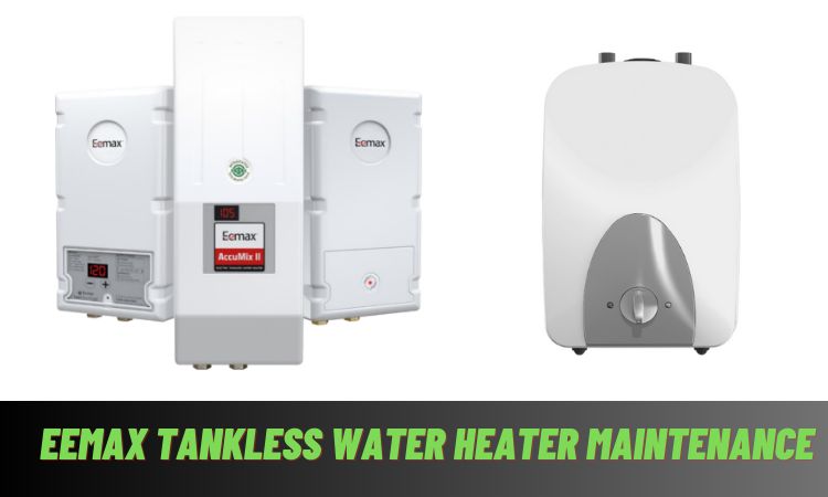 eemax tankless water heater maintenance