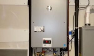 rheem tankless water heater code p1