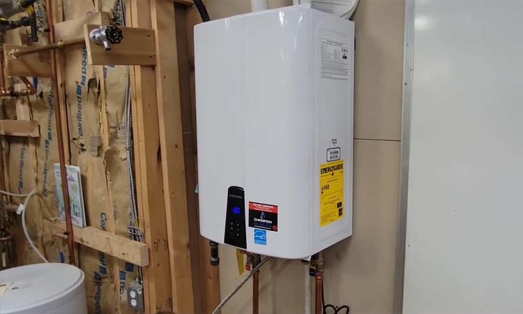 navien tankless water heater maintenance